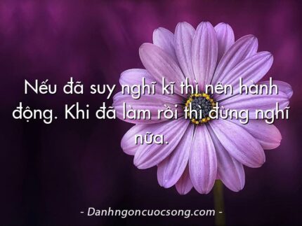 Nếu đã suy nghĩ kĩ thì nên hành động. Khi đã làm rồi thì đừng nghĩ nữa.