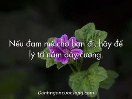 Nếu đam mê chở bạn đi, hãy để lý trí nắm dây cương.