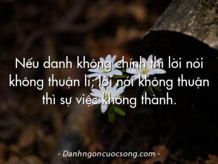 Nếu danh không chính thì lời nói không thuận lí; lời nói không thuận thì sự việc không thành.