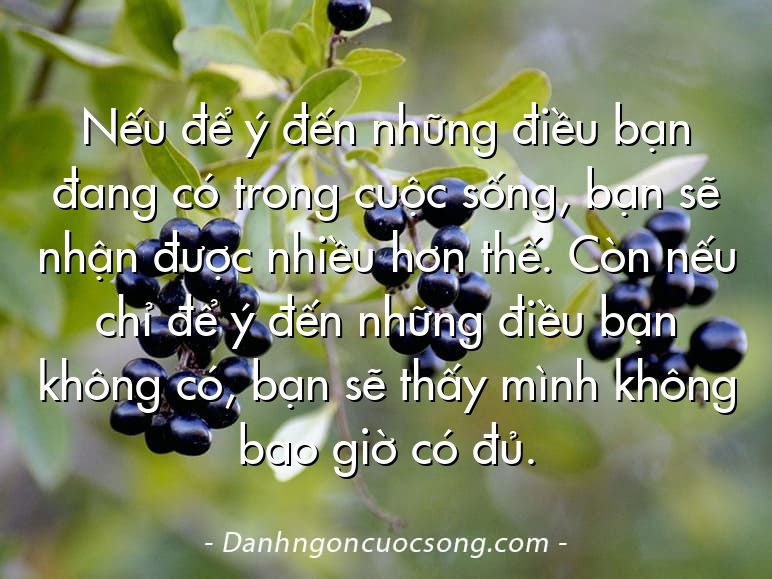 Nếu để ý đến những điều bạn đang có trong cuộc sống, bạn sẽ nhận được nhiều hơn thế. Còn nếu chỉ để ý đến những điều bạn không có, bạn sẽ thấy mình không bao giờ có đủ.