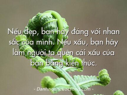 Nếu đẹp, bạn hãy đáng với nhan sắc của mình. Nếu xấu, bạn hãy làm người ta quên cái xấu của bạn bằng kiến thức.