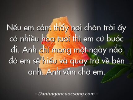 Nếu em cảm thấy nơi chân trời ấy có nhiều hoa tươi thì em cứ bước đi. Anh chỉ mong một ngày nào đó em sẽ hiểu và quay trở về bên anh. Anh vẫn chờ em.