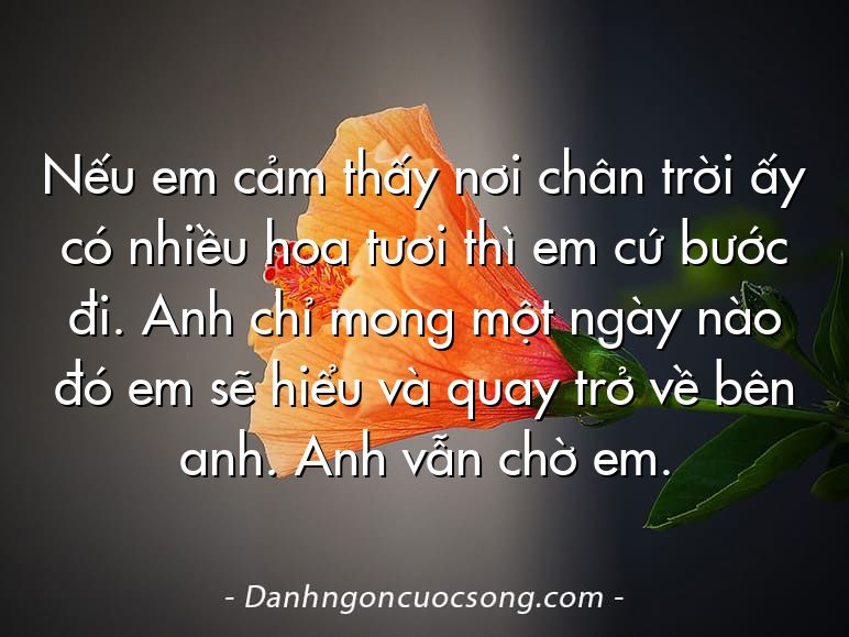 Nếu em cảm thấy nơi chân trời ấy có nhiều hoa tươi thì em cứ bước đi. Anh chỉ mong một ngày nào đó em sẽ hiểu và quay trở về bên anh. Anh vẫn chờ em.