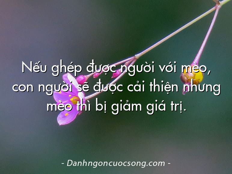 Nếu ghép được người với mèo, con người sẽ được cải thiện nhưng mèo thì bị giảm giá trị.