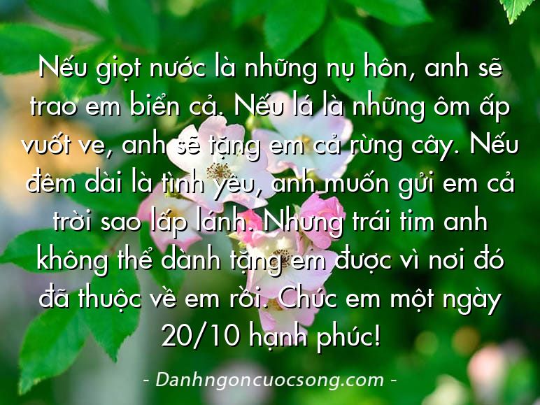 Nếu giọt nước là những nụ hôn, anh sẽ trao em biển cả. Nếu lá là những ôm ấp vuốt ve, anh sẽ tặng em cả rừng cây. Nếu đêm dài là tình yêu, anh muốn gửi em cả trời sao lấp lánh. Nhưng trái tim anh không thể dành tặng em được vì nơi đó đã thuộc về em rồi. Chúc em một ngày 20/10 hạnh phúc!