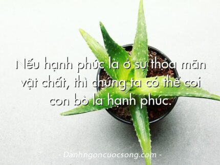 Nếu hạnh phúc là ở sự thỏa mãn vật chất, thì chúng ta có thể coi con bò là hạnh phúc.