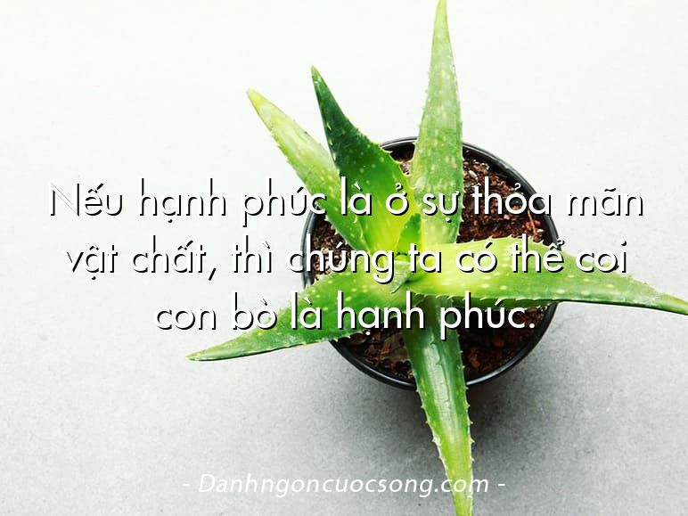 Nếu hạnh phúc là ở sự thỏa mãn vật chất, thì chúng ta có thể coi con bò là hạnh phúc.