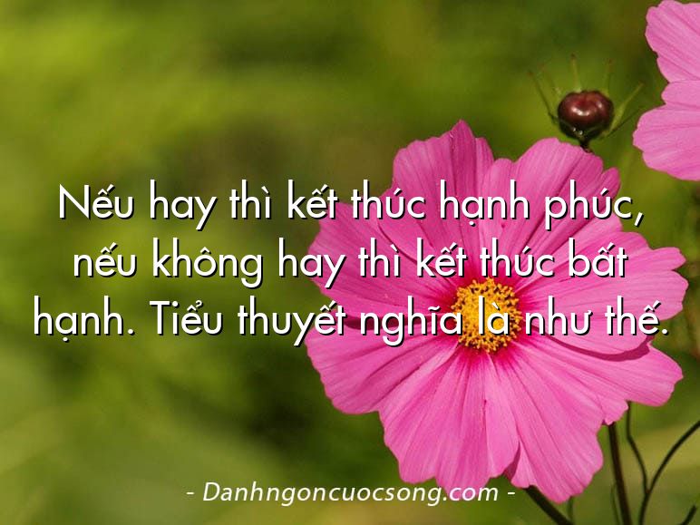 Nếu hay thì kết thúc hạnh phúc, nếu không hay thì kết thúc bất hạnh. Tiểu thuyết nghĩa là như thế.