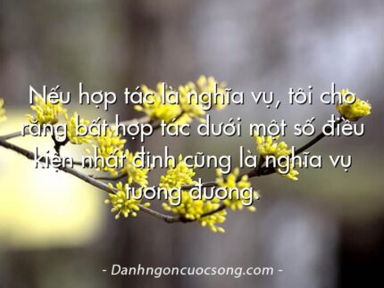 Nếu hợp tác là nghĩa vụ, tôi cho rằng bất hợp tác dưới một số điều kiện nhất định cũng là nghĩa vụ tương đương.