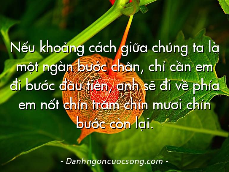 Nếu khoảng cách giữa chúng ta là một ngàn bước chân, chỉ cần em đi bước đầu tiên, anh sẽ đi về phía em nốt chín trăm chín mươi chín bước còn lại.