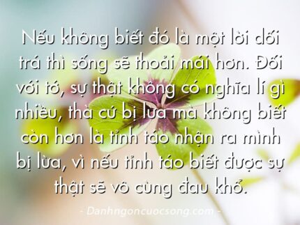 Nếu không biết đó là một lời dối trá thì sống sẽ thoải mái hơn. Đối với tớ, sự thật không có nghĩa lí gì nhiều, thà cứ bị lừa mà không biết còn hơn là tỉnh táo nhận ra mình bị lừa, vì nếu tỉnh táo biết được sự thật sẽ vô cùng đau khổ.