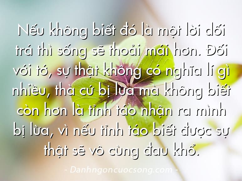 Nếu không biết đó là một lời dối trá thì sống sẽ thoải mái hơn. Đối với tớ, sự thật không có nghĩa lí gì nhiều, thà cứ bị lừa mà không biết còn hơn là tỉnh táo nhận ra mình bị lừa, vì nếu tỉnh táo biết được sự thật sẽ vô cùng đau khổ.