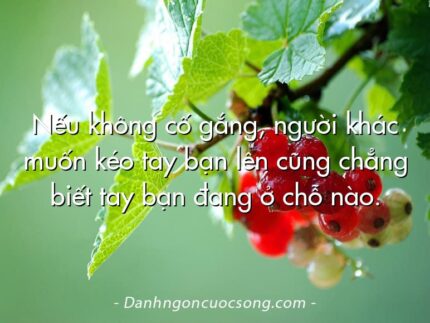 Nếu không cố gắng, người khác muốn kéo tay bạn lên cũng chẳng biết tay bạn đang ở chỗ nào. 