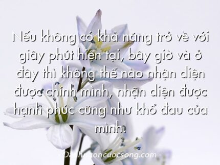 Nếu không có khả năng trở về với giây phút hiện tại, bây giờ và ở đây thì không thể nào nhận diện được chính mình, nhận diện được hạnh phúc cũng như khổ đau của mình.