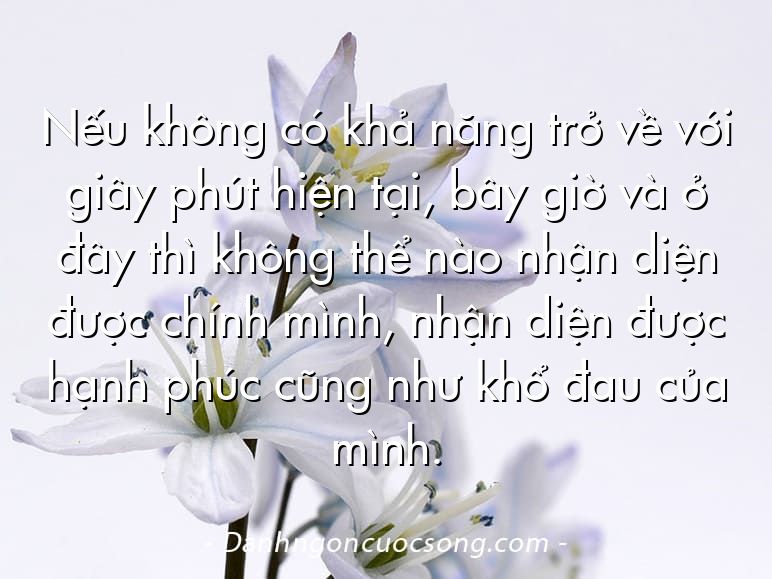 Nếu không có khả năng trở về với giây phút hiện tại, bây giờ và ở đây thì không thể nào nhận diện được chính mình, nhận diện được hạnh phúc cũng như khổ đau của mình.