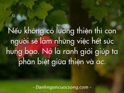 Nếu không có lương thiện thì con người sẽ làm những việc hết sức hung bạo. Nó là ranh giới giúp ta phân biệt giữa thiện và ác.