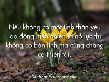 Nếu không có một tinh thần yêu lao động hiển nhiên là nỗ lực thì không có bản lĩnh mà cũng chẳng có thiên tài.