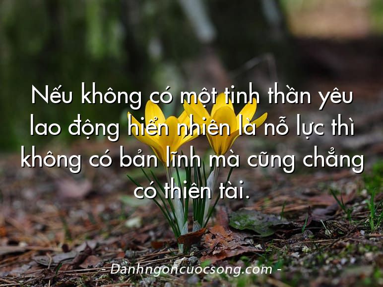 Nếu không có một tinh thần yêu lao động hiển nhiên là nỗ lực thì không có bản lĩnh mà cũng chẳng có thiên tài.