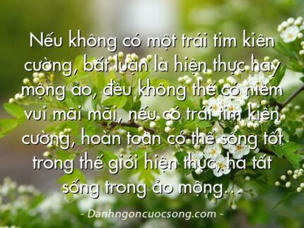 Nếu không có một trái tim kiên cường, bất luận là hiện thực hay mộng ảo, đều không thể có niềm vui mãi mãi, nếu có trái tim kiên cường, hoàn toàn có thể sống tốt trong thế giới hiện thực, hà tất sống trong ảo mộng…