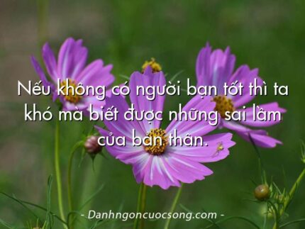 Nếu không có người bạn tốt thì ta khó mà biết được những sai lầm của bản thân.