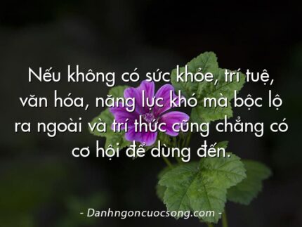 Nếu không có sức khỏe, trí tuệ, văn hóa, năng lực khó mà bộc lộ ra ngoài và trí thức cũng chẳng có cơ hội để dùng đến.