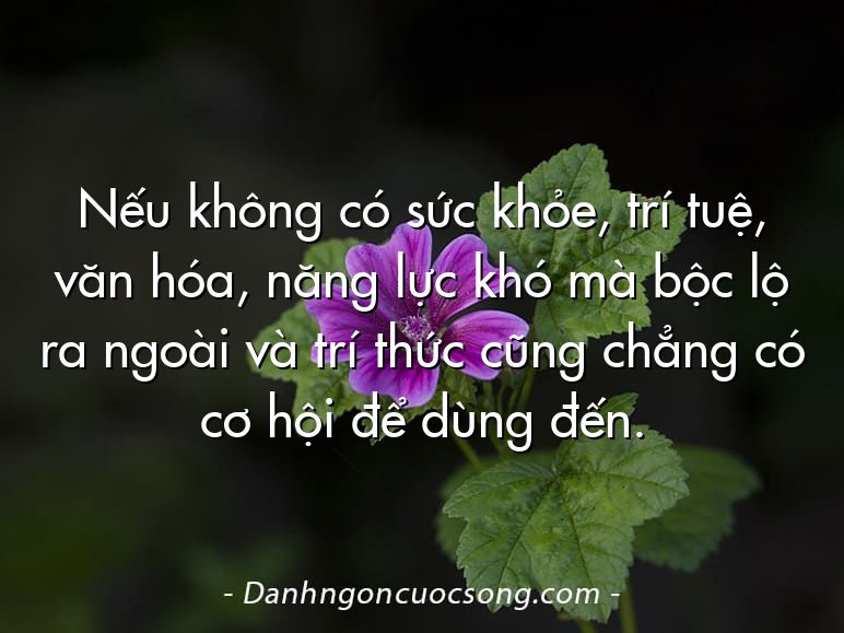 Nếu không có sức khỏe, trí tuệ, văn hóa, năng lực khó mà bộc lộ ra ngoài và trí thức cũng chẳng có cơ hội để dùng đến.