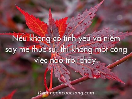 Nếu không có tình yêu và niềm say mê thực sự, thì không một công việc nào trôi chảy.