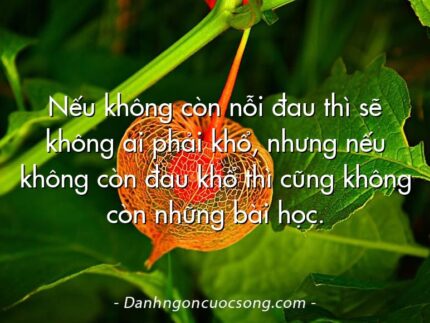 Nếu không còn nỗi đau thì sẽ không ai phải khổ, nhưng nếu không còn đau khổ thì cũng không còn những bài học.