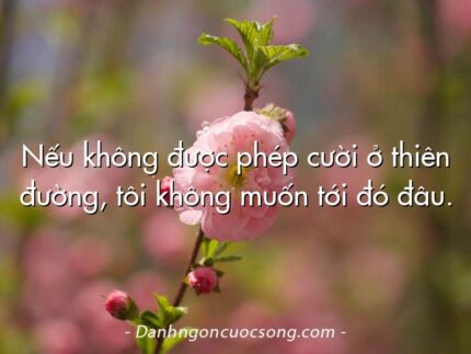 Nếu không được phép cười ở thiên đường, tôi không muốn tới đó đâu.