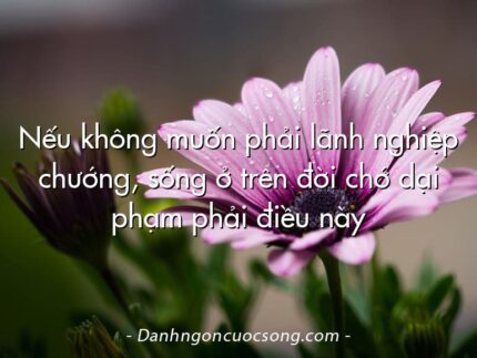 Nếu không muốn phải lãnh nghiệp chướng, sống ở trên đời chớ dại phạm phải điều này