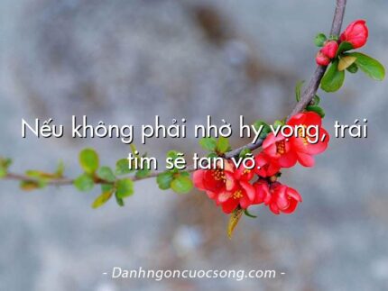 Nếu không phải nhờ hy vọng, trái tim sẽ tan vỡ.