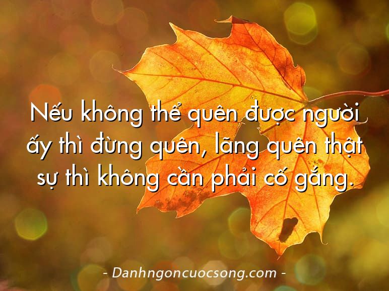 Nếu không thể quên được người ấy thì đừng quên, lãng quên thật sự thì không cần phải cố gắng.