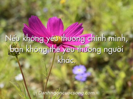 Nếu không yêu thương chính mình, bạn không thể yêu thương người khác.