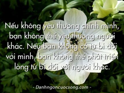 Nếu không yêu thương chính mình, bạn không thể yêu thương người khác. Nếu bạn không có từ bi đối với mình, bạn không thể phát triển lòng từ bi đối với người khác.