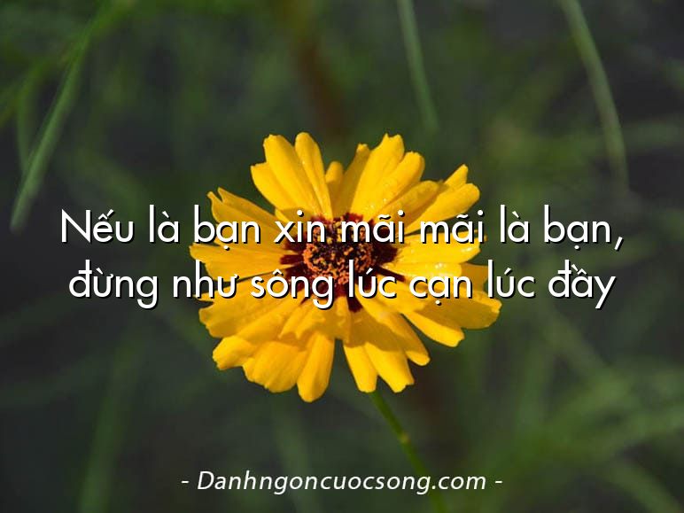Nếu là bạn xin mãi mãi là bạn, đừng như sông lúc cạn lúc đầy
