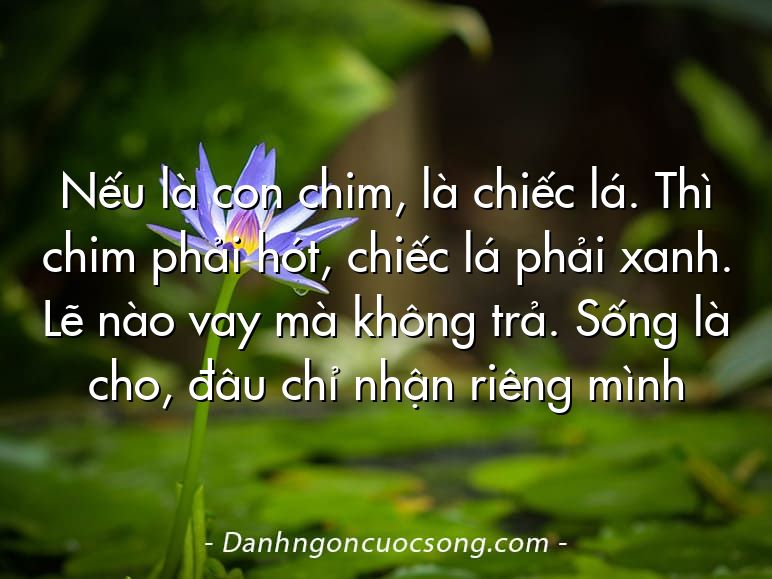 Nếu là con chim, là chiếc lá. Thì chim phải hót, chiếc lá phải xanh. Lẽ nào vay mà không trả. Sống là cho, đâu chỉ nhận riêng mình