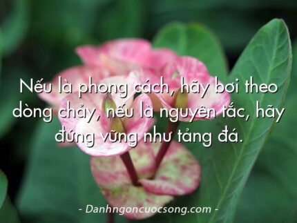 Nếu là phong cách, hãy bơi theo dòng chảy, nếu là nguyên tắc, hãy đứng vững như tảng đá.
