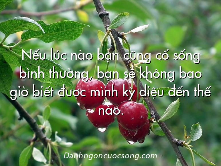 Nếu lúc nào bạn cũng cố sống bình thường, bạn sẽ không bao giờ biết được mình kỳ diệu đến thế nào.