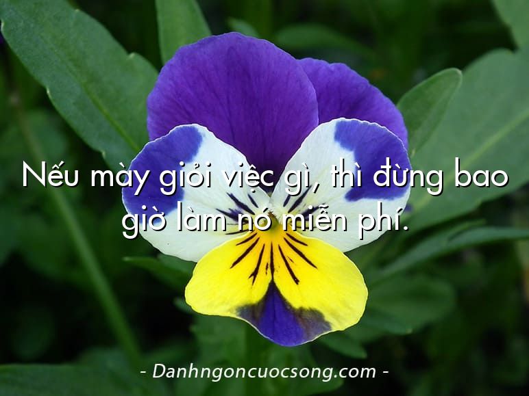 Nếu mày giỏi việc gì, thì đừng bao giờ làm nó miễn phí.