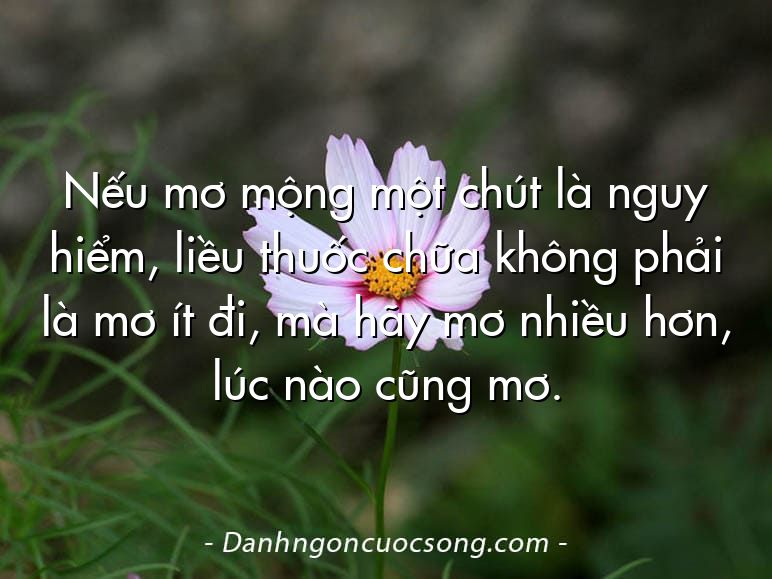 Nếu mơ mộng một chút là nguy hiểm, liều thuốc chữa không phải là mơ ít đi, mà hãy mơ nhiều hơn, lúc nào cũng mơ.