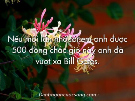Nếu mỗi lần nhớ tới em anh được 500 đồng chắc giờ này anh đã vượt xa Bill Gates.