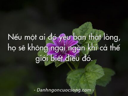 Nếu một ai đó yêu bạn thật lòng, họ sẽ không ngại ngần khi cả thế giới biết điều đó.