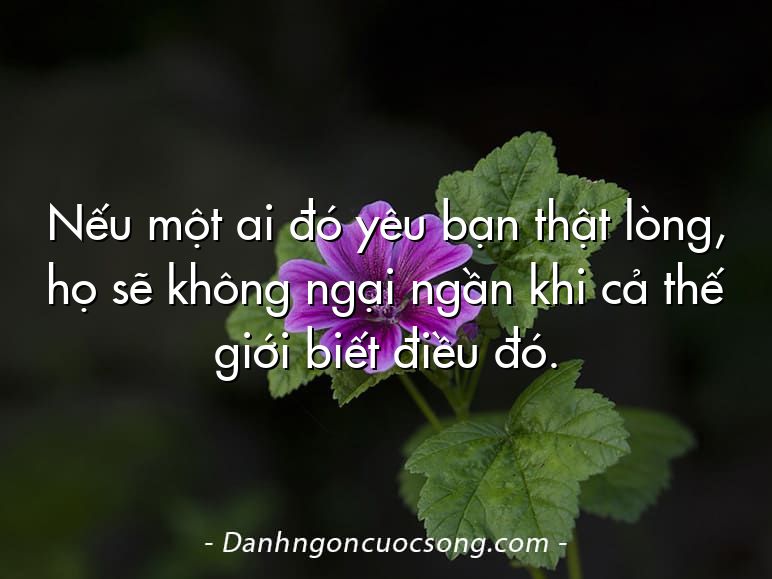 Nếu một ai đó yêu bạn thật lòng, họ sẽ không ngại ngần khi cả thế giới biết điều đó.