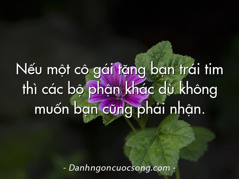 Nếu một cô gái tặng bạn trái tim thì các bộ phận khác dù không muốn bạn cũng phải nhận.