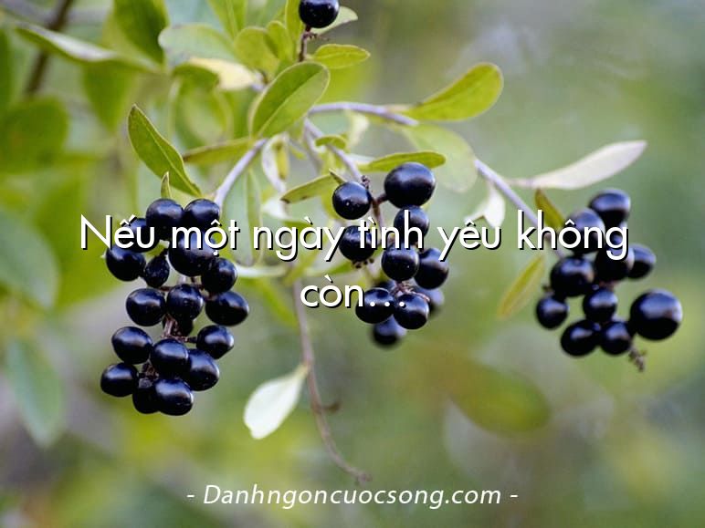 Nếu một ngày tình yêu không còn…