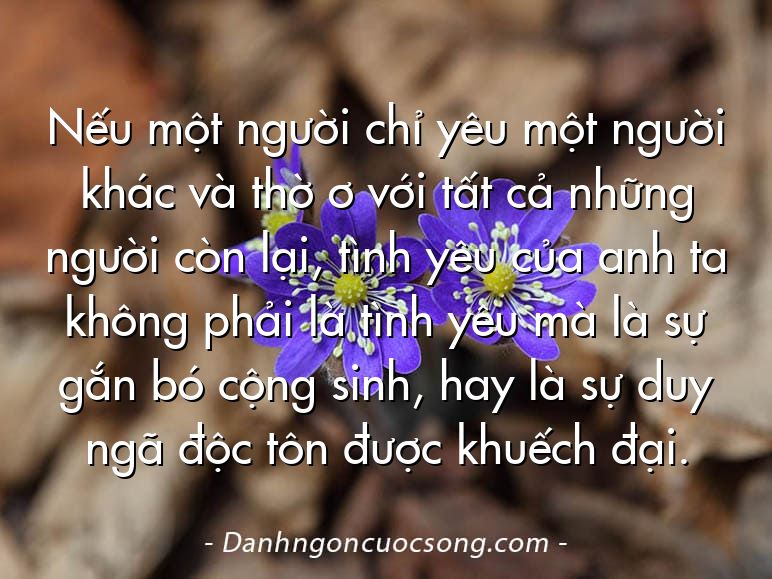 Nếu một người chỉ yêu một người khác và thờ ơ với tất cả những người còn lại, tình yêu của anh ta không phải là tình yêu mà là sự gắn bó cộng sinh, hay là sự duy ngã độc tôn được khuếch đại.