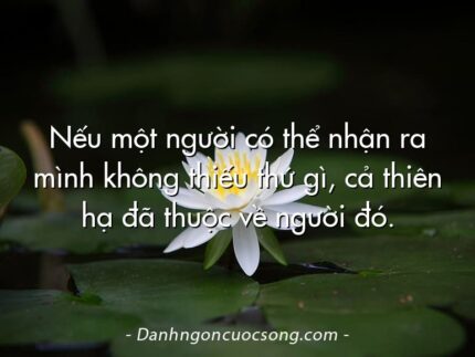 Nếu một người có thể nhận ra mình không thiếu thứ gì, cả thiên hạ đã thuộc về người đó.