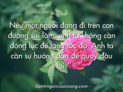 Nếu một người đang đi trên con đường sai lầm, anh ta không cần động lực để tăng tốc độ. Anh ta cần sự hướng dẫn để quay đầu lại.