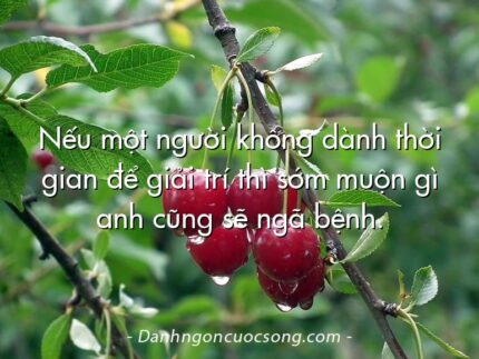 Nếu một người không dành thời gian để giải trí thì sớm muộn gì anh cũng sẽ ngã bệnh.
