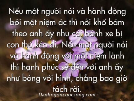 Nếu một người nói và hành động bởi một niệm ác thì nỗi khổ bám theo anh ấy như cái bánh xe bị con thú kéo đi. Nếu một người nói và hành động với một niệm lành thì hạnh phúc sẽ đến với anh ấy như bóng với hình, chẳng bao giờ tách rời.